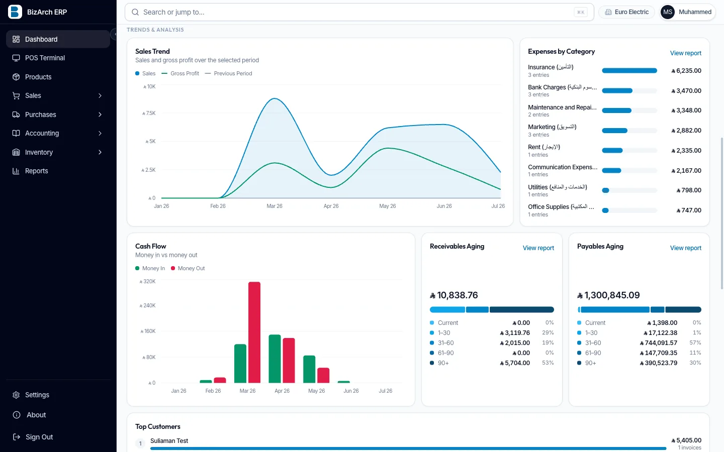 BizArch ERP analytics in the browser — sales trend, cash flow and aging charts